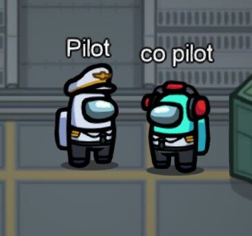 pilot-co-pilot-best-names-in-among-us